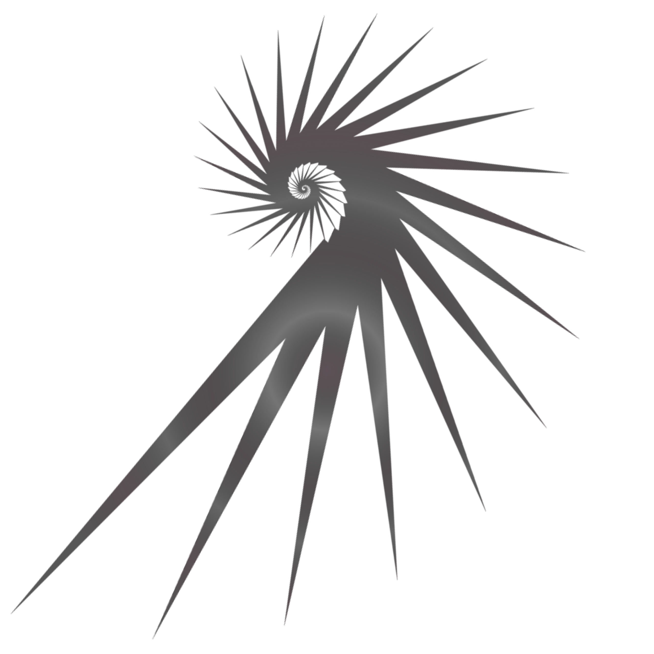 Light Alchemy Photography